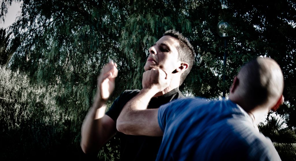 Recensioni: Logica del combattimento